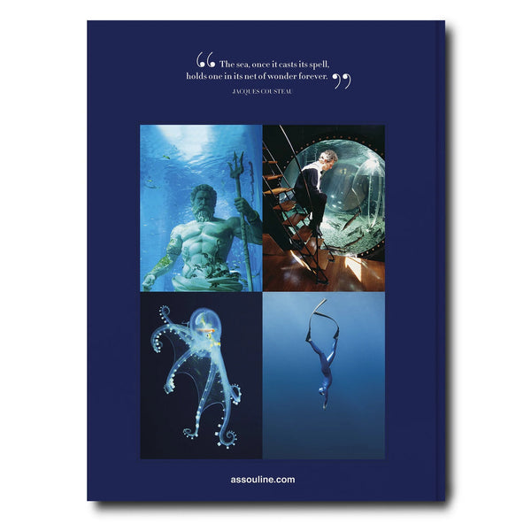 OceanWanderlust-Cover-Flat-BACK-copy_3000x_jpg.jpg